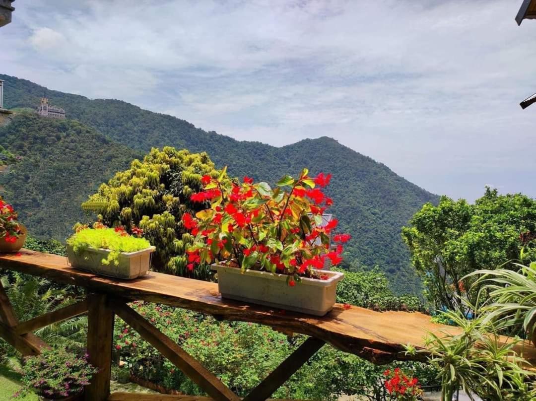 Mimosa Villa Tam Ðảo Екстериор снимка